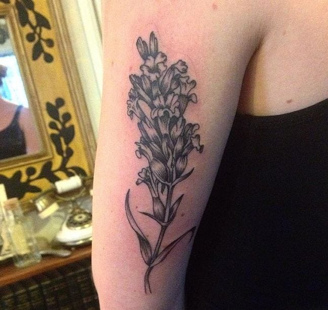 Cool Lavender Tattoos
