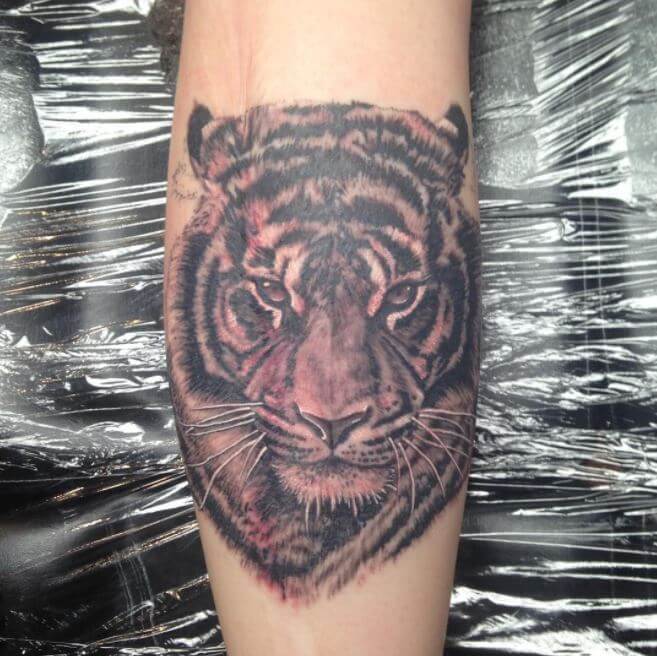 Tiger Calf Tattoos