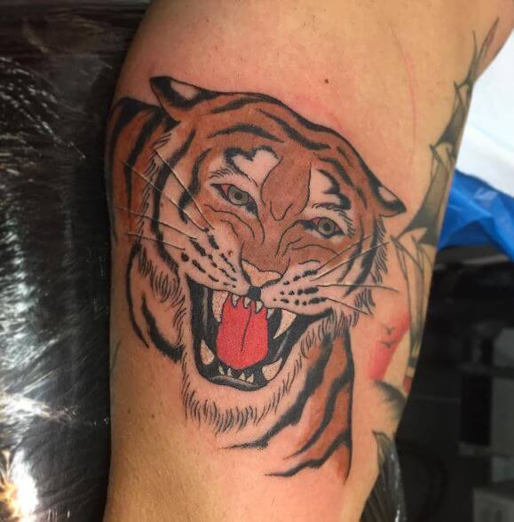Tiger Tattoo On Arm 24