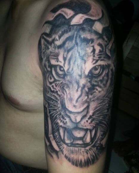 Tiger Tattoo On Arm 4