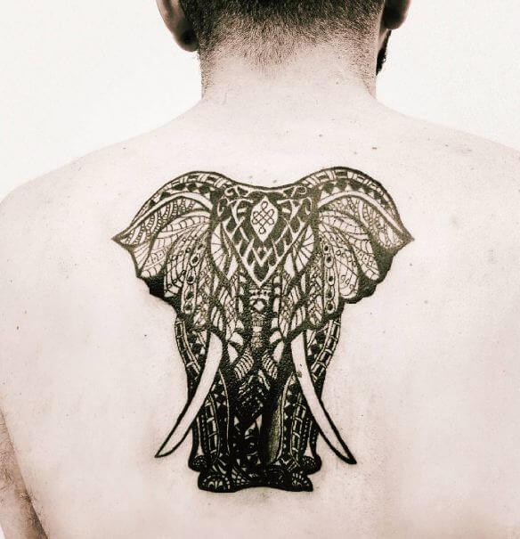 Elephant Maori Tattoos