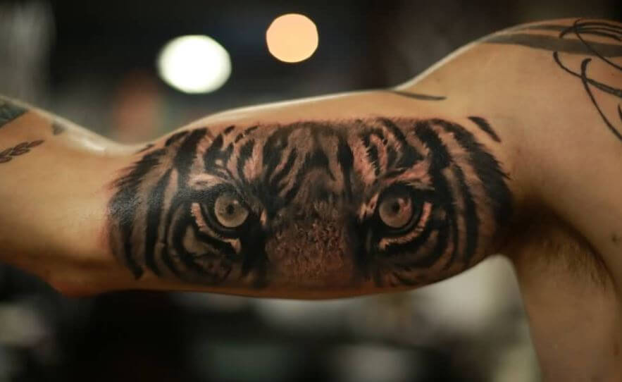 Inner Bicep Lion Tattoos