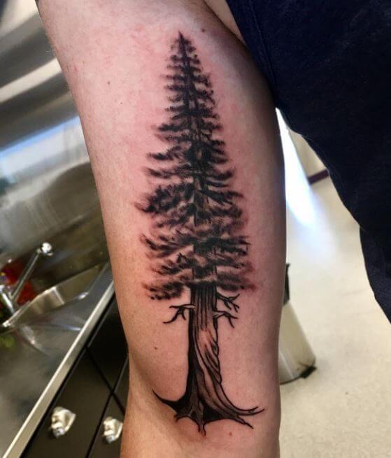 Inner Bicep Tree Tattoo