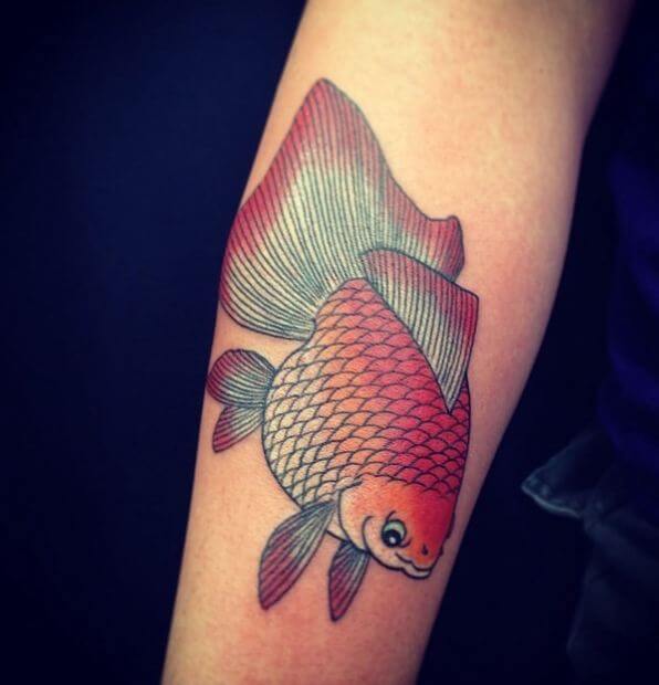 Japanese Coy Fish Tattoos