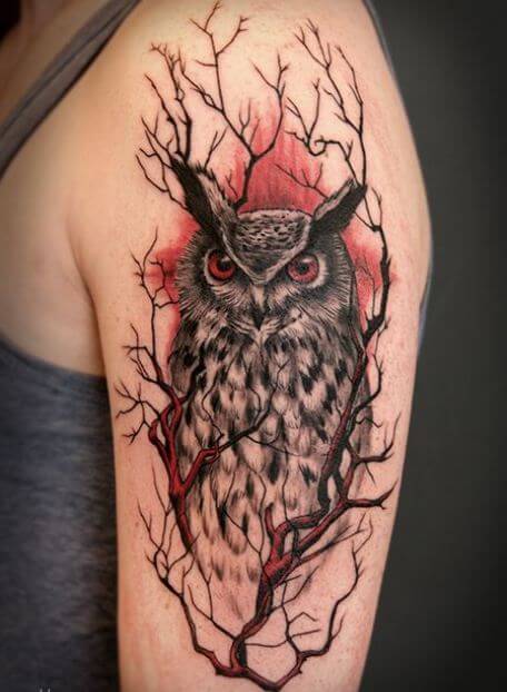 Owl Arm Tattoos