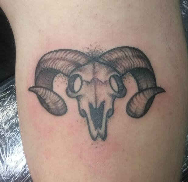 Ram Skull Tattoo (1)