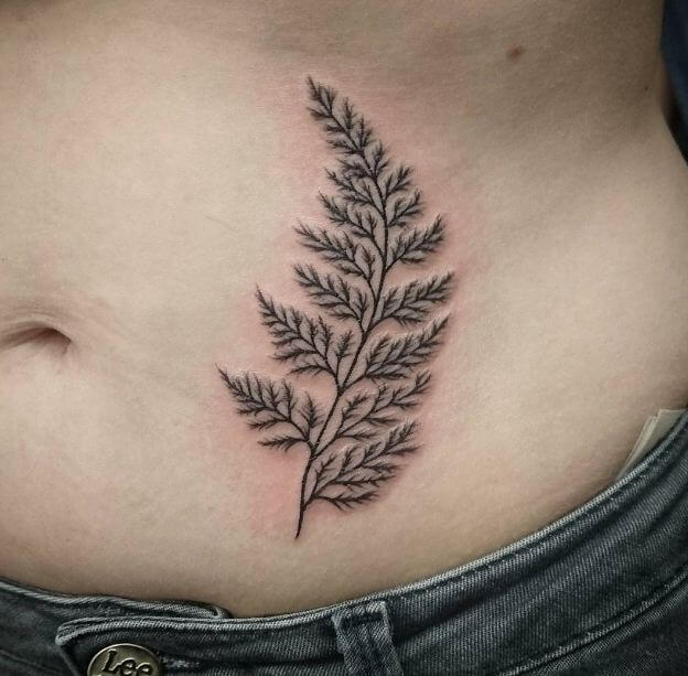 Stomach Tree Tattoos