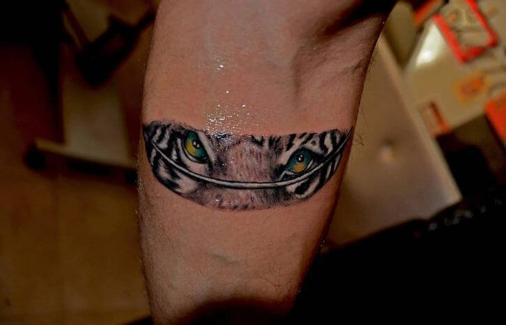 Tiger Eye On Feather Tattoos