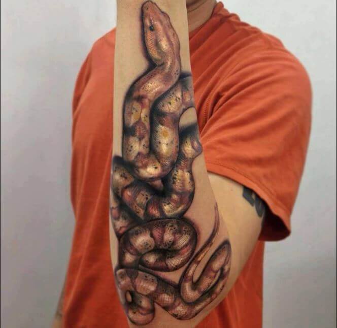 3d Snake Tattoos