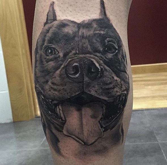 Black Color Bull Terrier Dog Tattoos Design On Calf