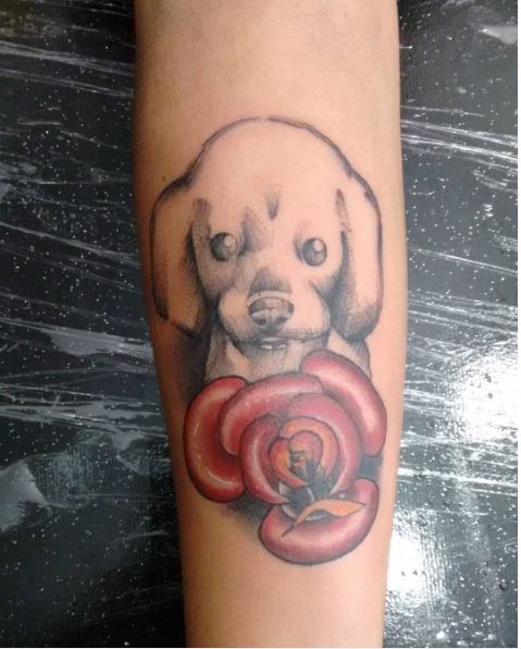 Dog Draw Tattoos Design On Arms