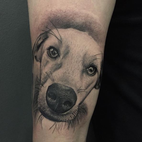 Dog Tattoo Quotes