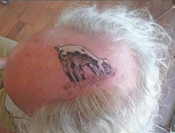 Got Animal Bad Tattoo On Head