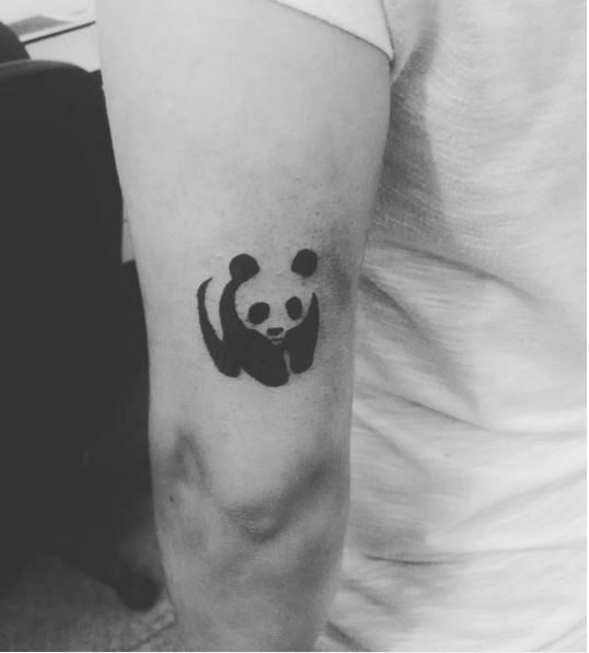 Panda Tattoo Designs.