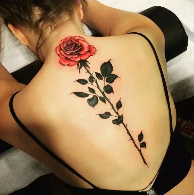 Red Rose Spine Tattoos Design For Girls