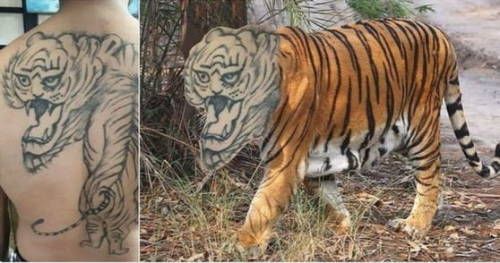 Bad Tattoo Gone Wrong (5)