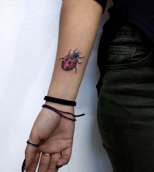Best Ladybug Tattoos