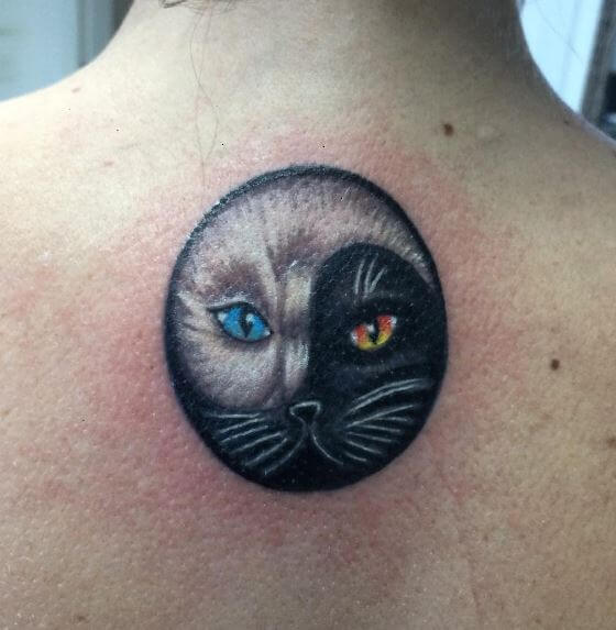 Cat With Yin Yang Tattoos