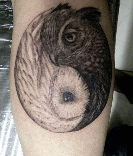 Owl With Yin Yang Tattoos