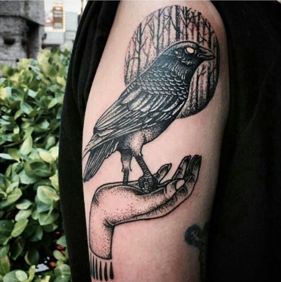 Black Crow Tattoos Deesign On Shoulder