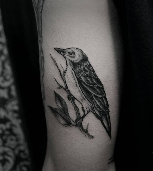 Black Work Tattoo On Arm 16