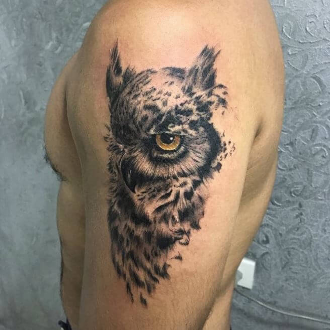 Half Sleeve Owl Tattoos