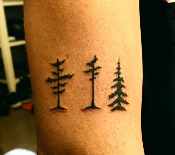Best Tree Tattoos