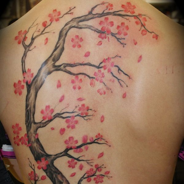 Cherry Blossom Japanese Tattoo Pictures Images (113)