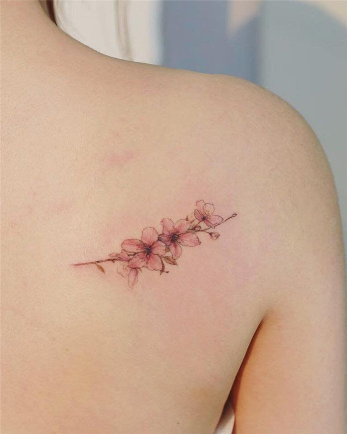 Cherry Blossom Japanese Tattoo Pictures Images (91)