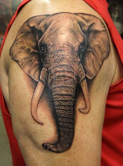 Elephant Quarter Sleeve Tattoos
