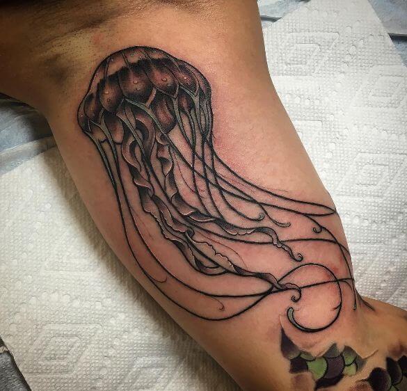 Jellyfish Tattoos On Inner Biceps