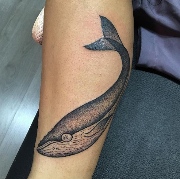 Killer Whale Tattoos
