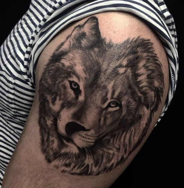 Lion And Wolf Tattoos