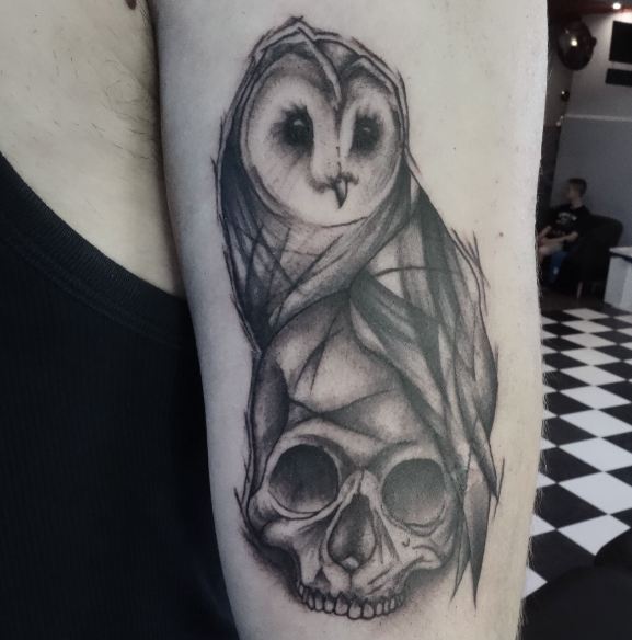 Owl And Skull Sketch Style Tattoos