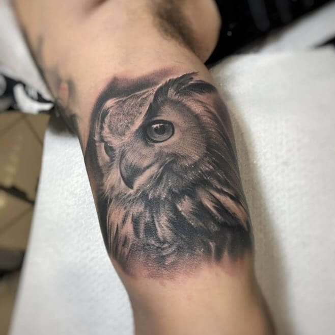 Owl Tattoos For Guys