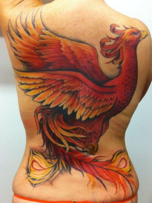 Phoenix Tattoos Upper Arm