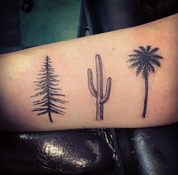 The Meaning Of Tree Tattoos