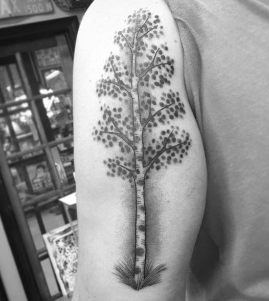Tree Tattoos Arm