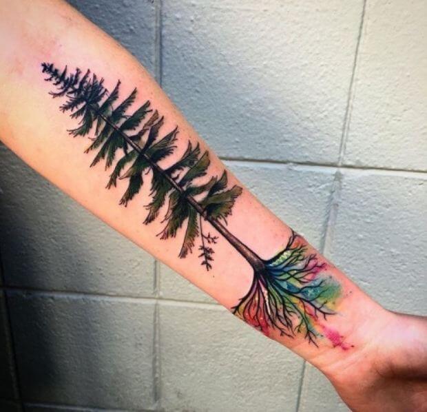 Watercolor Pine Tree Tattoo