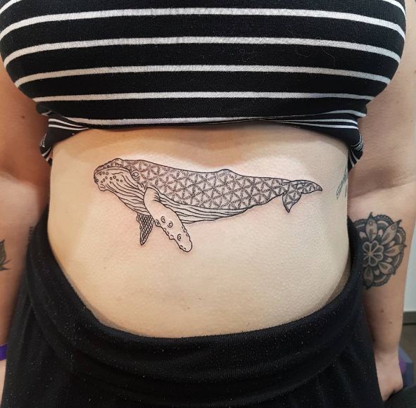 Whale Tattoos On Stomach