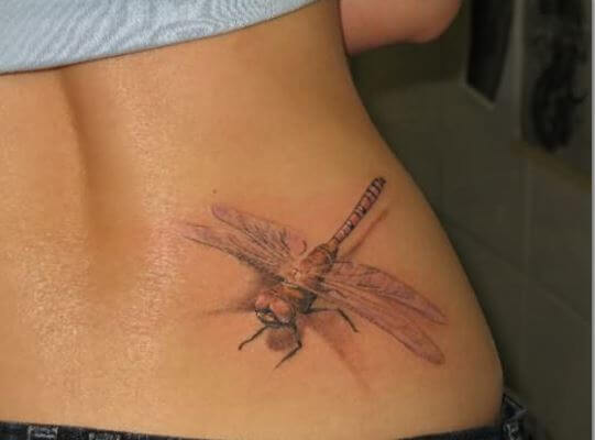 3D Dragonfly Tattoos Design And Ideas