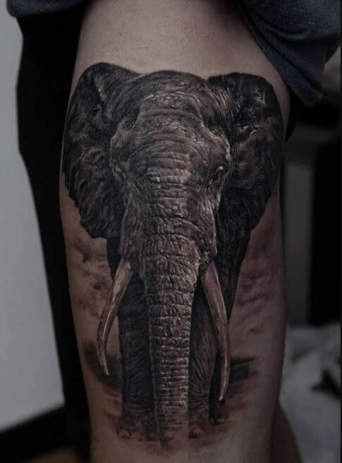 Black Elephant Tattoos Design And Ideas