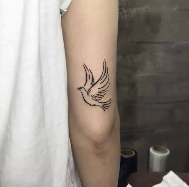 Dove Tattoos Design On Elbow