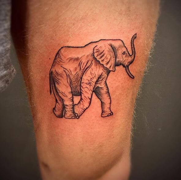 Elephant Tattoos Design On Thigh