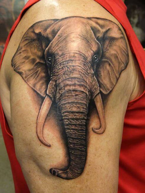 Half Sleeve Elephant Tattoos Design On Hands