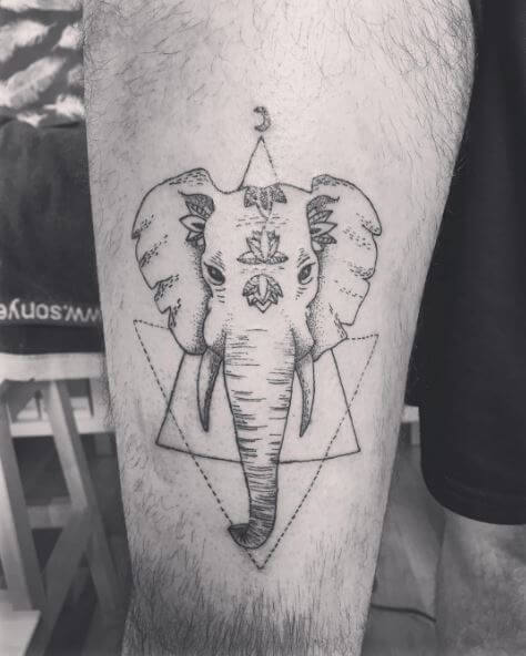 Lining Elephant Tattoos Design And Ideas