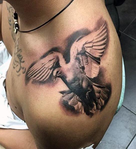 Nice Dove Tattoo On Upper Shoulder