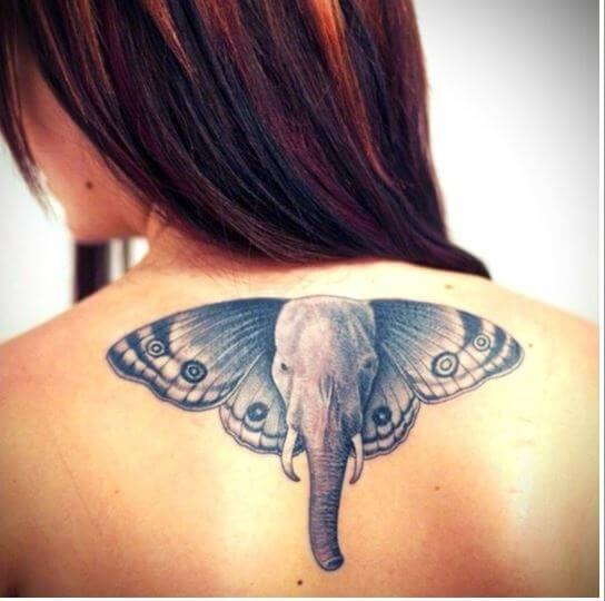 Angry Elephant Tattoos Tampa