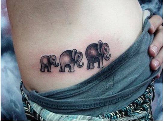Angry Elephant Tattoos Valrico Florida