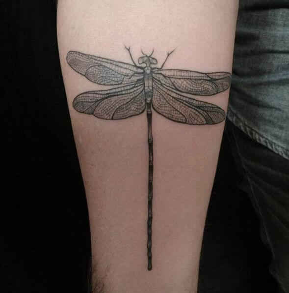 Dragonfly Tribal Tattoos